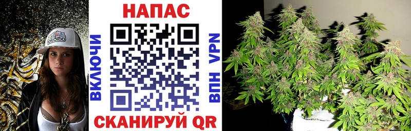 Марихуана индика Лахденпохья